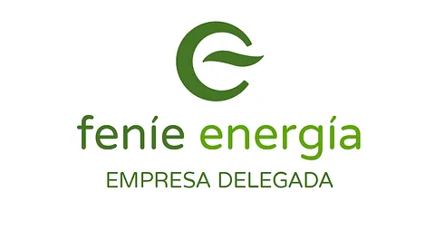 Electro Esteban Logo
